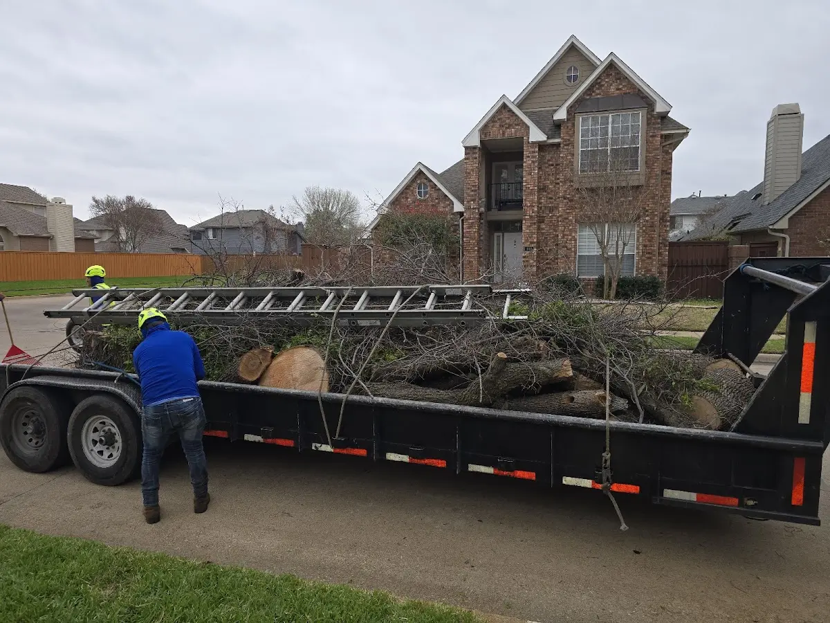 Expert Tree Fertilization with proper safety equipment in Earlsboro